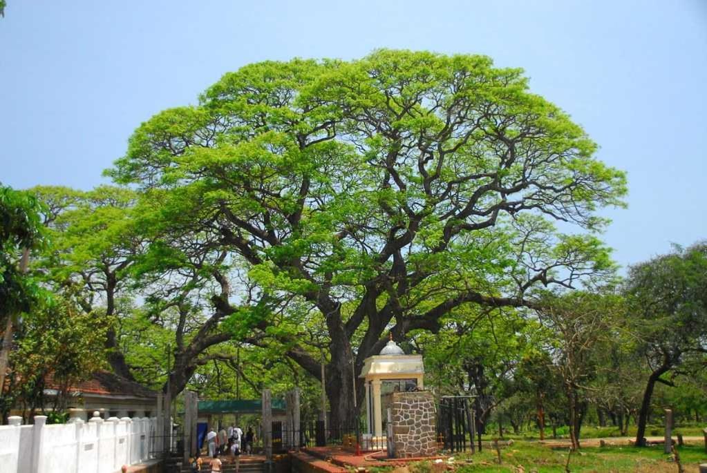 Lucky Holiday Home Anuradhapura Exterior foto